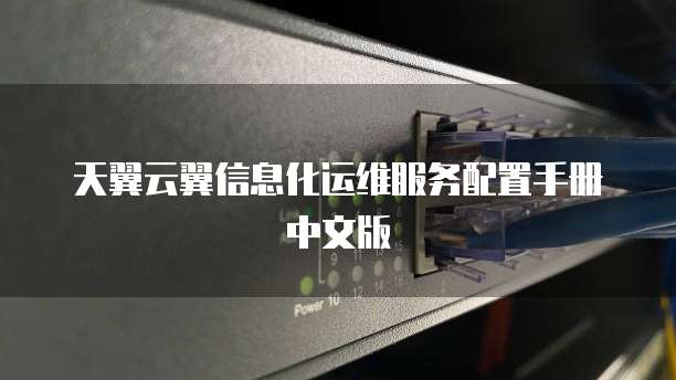 天翼云翼信息化运维服务配置手册中文版
