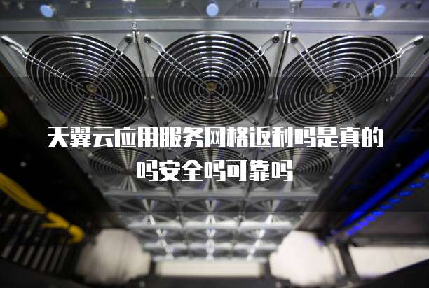 天翼云应用服务网格返利吗是真的吗安全吗可靠吗