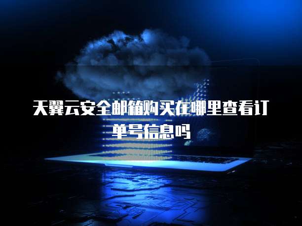 天翼云安全邮箱购买在哪里查看订单号信息吗