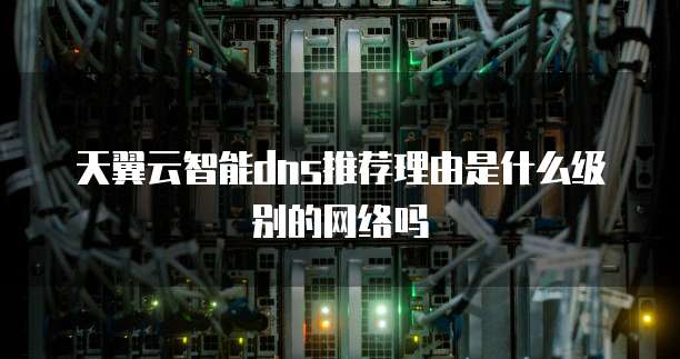 天翼云智能dns推荐理由是什么级别的网络吗
