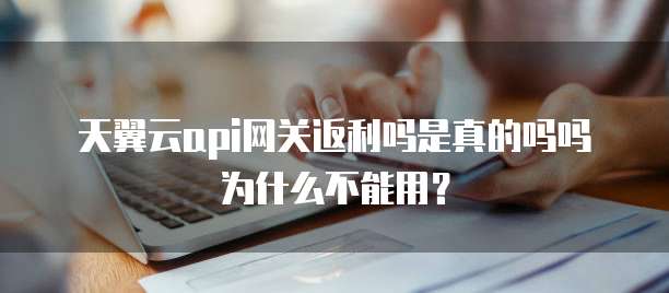 天翼云api网关返利吗是真的吗吗为什么不能用？