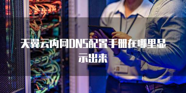 天翼云内网DNS配置手册在哪里显示出来