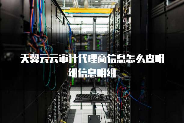天翼云云审计代理商信息怎么查明细信息明细