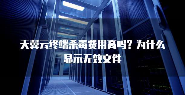 天翼云终端杀毒费用高吗?为什么显示无效文件