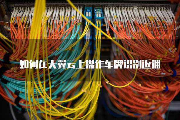 如何在天翼云上操作车牌识别返佣