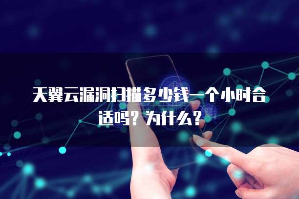 天翼云漏洞扫描多少钱一个小时合适吗?为什么?