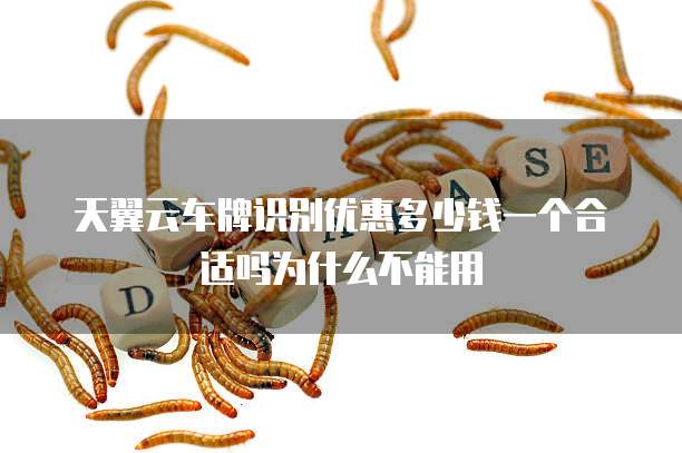 天翼云车牌识别优惠多少钱一个合适吗为什么不能用