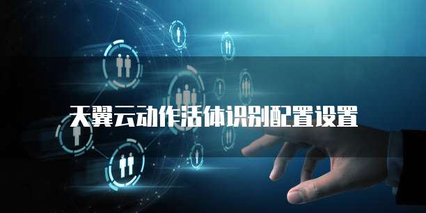 天翼云动作活体识别配置设置
