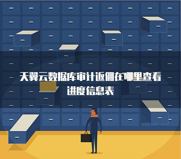 天翼云数据库审计返佣在哪里查看进度信息表