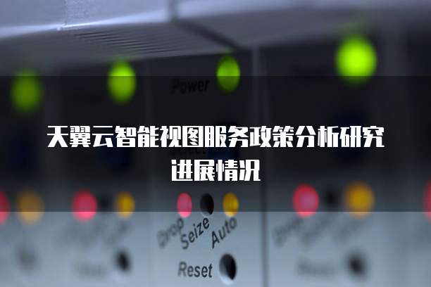 天翼云智能视图服务政策分析研究进展情况