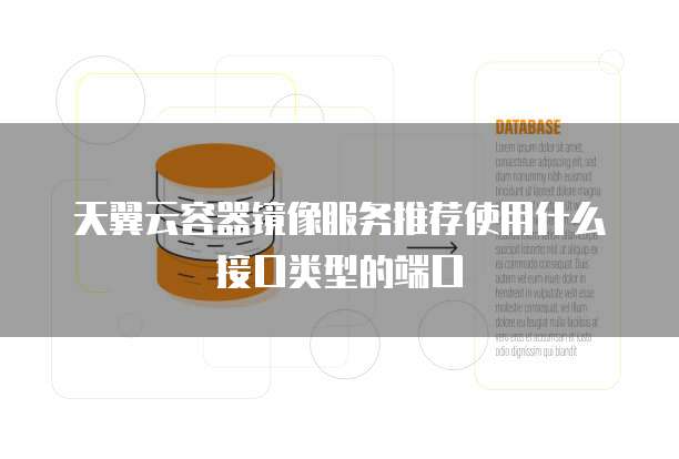 天翼云容器镜像服务推荐使用什么接口类型的端口
