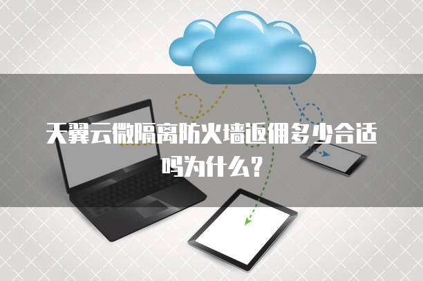 天翼云微隔离防火墙返佣多少合适吗为什么？