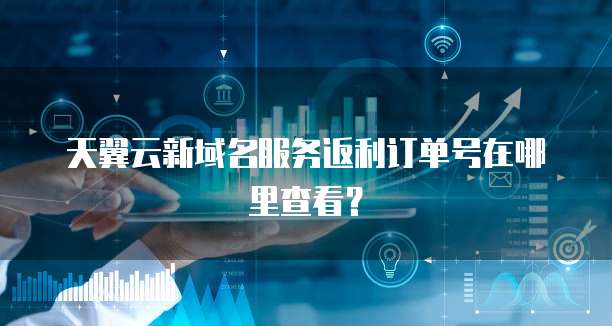 天翼云新域名服务返利订单号在哪里查看?