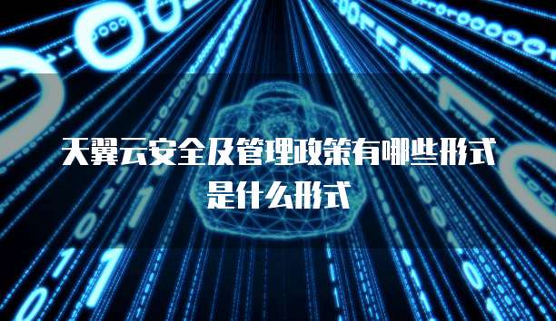 天翼云安全及管理政策有哪些形式是什么形式