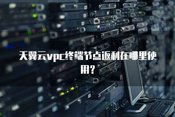 天翼云vpc终端节点返利在哪里使用?