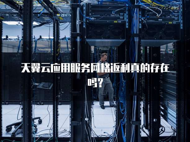 天翼云应用服务网格返利真的存在吗?