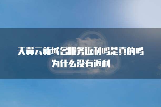 天翼云新域名服务返利吗是真的吗为什么没有返利