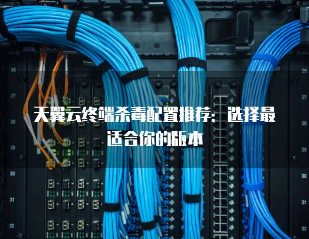 天翼云终端杀毒配置推荐:选择最适合你的版本