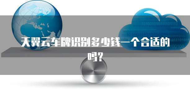 天翼云车牌识别多少钱一个合适的吗？