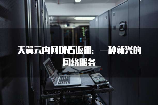 天翼云内网DNS返佣:一种新兴的网络服务