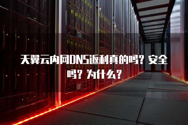 天翼云内网DNS返利真的吗？安全吗？为什么？