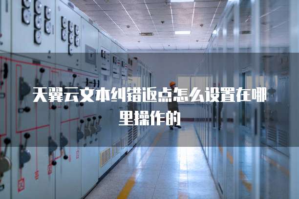 天翼云文本纠错返点怎么设置在哪里操作的