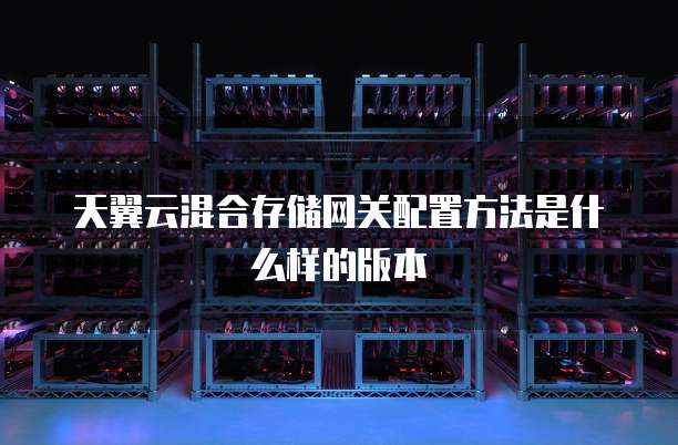 天翼云混合存储网关配置方法是什么样的版本