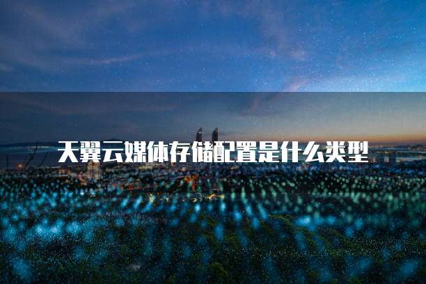 天翼云媒体存储配置是什么类型