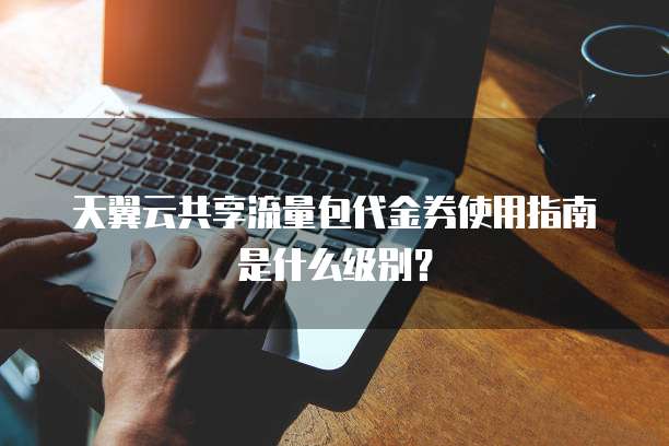 天翼云共享流量包代金券使用指南是什么级别?
