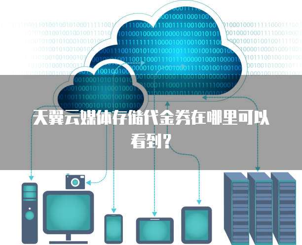 天翼云媒体存储代金券在哪里可以看到？