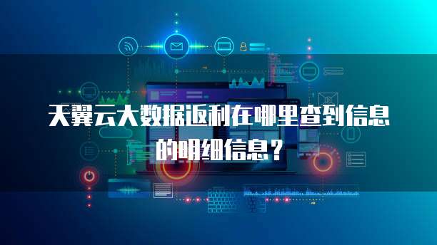 天翼云大数据返利在哪里查到信息的明细信息?
