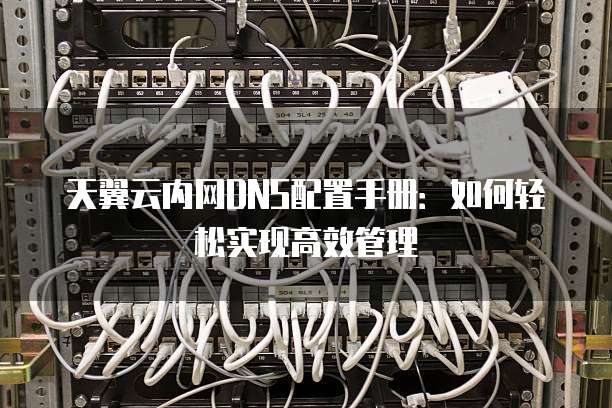 天翼云内网DNS配置手册:如何轻松实现高效管理