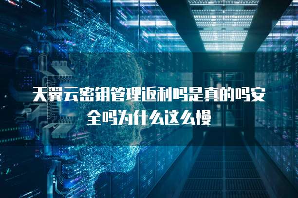 天翼云密钥管理返利吗是真的吗安全吗为什么这么慢