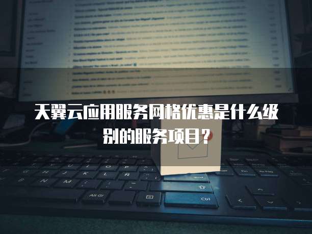 天翼云应用服务网格优惠是什么级别的服务项目？
