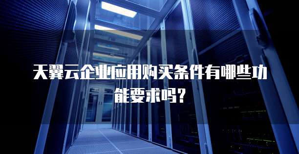 天翼云企业应用购买条件有哪些功能要求吗?