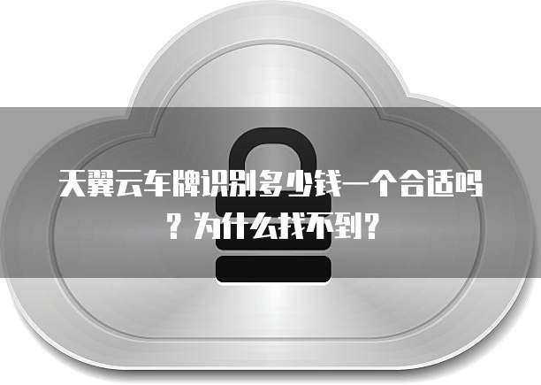 天翼云车牌识别多少钱一个合适吗?为什么找不到?