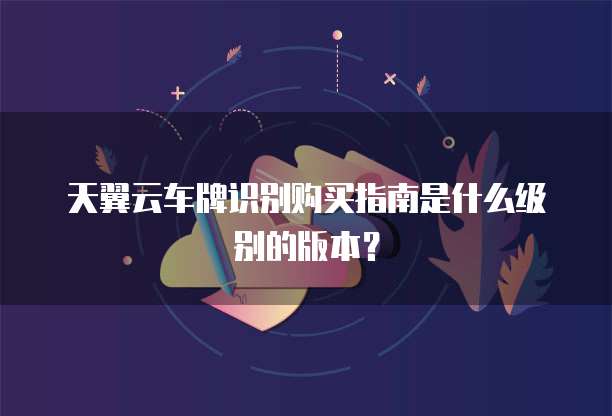 天翼云车牌识别购买指南是什么级别的版本？