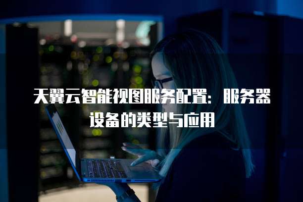 天翼云智能视图服务配置:服务器设备的类型与应用