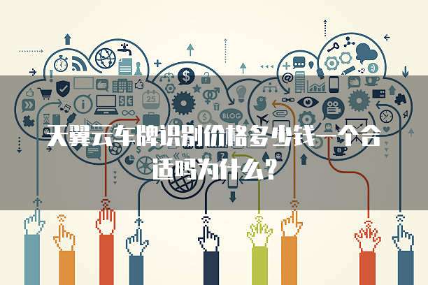 天翼云车牌识别价格多少钱一个合适吗为什么?