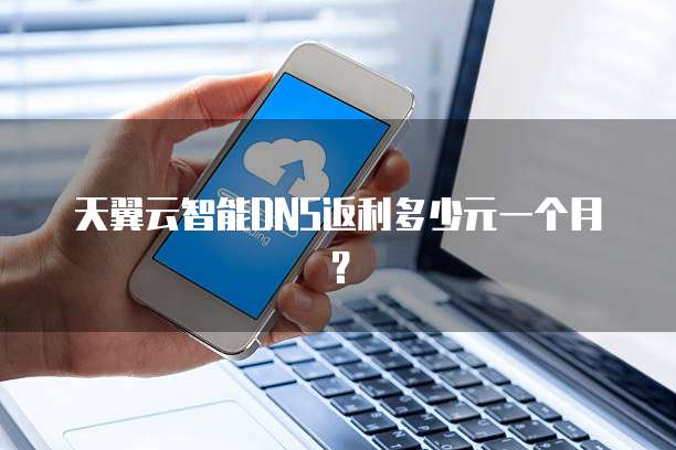 天翼云智能DNS返利多少元一个月？