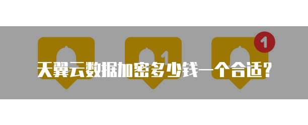 天翼云数据加密多少钱一个合适?