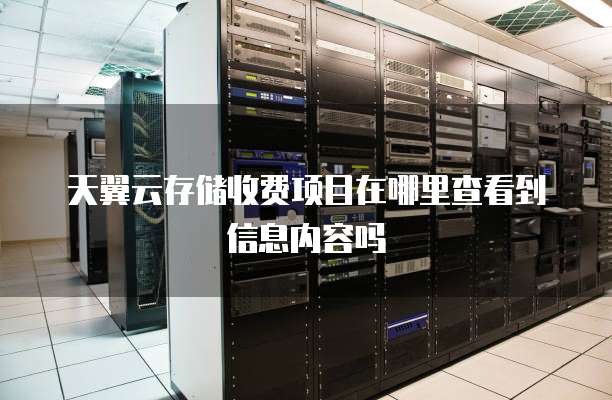 天翼云存储收费项目在哪里查看到信息内容吗
