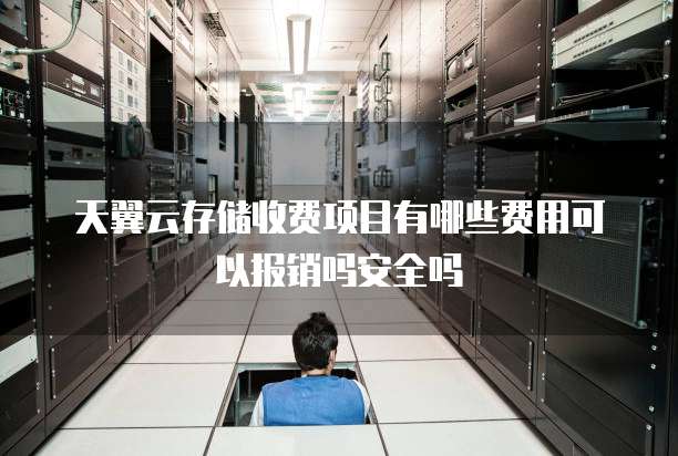 天翼云存储收费项目有哪些费用可以报销吗安全吗
