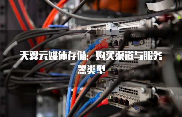 天翼云媒体存储:购买渠道与服务器类型