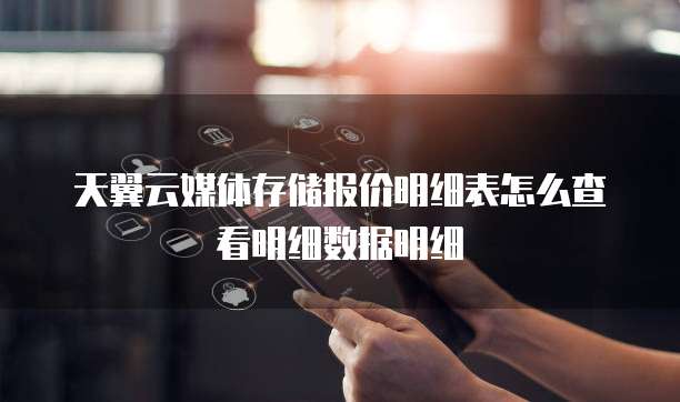 天翼云媒体存储报价明细表怎么查看明细数据明细
