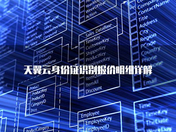 天翼云身份证识别报价明细详解