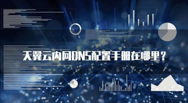 天翼云内网DNS配置手册在哪里?