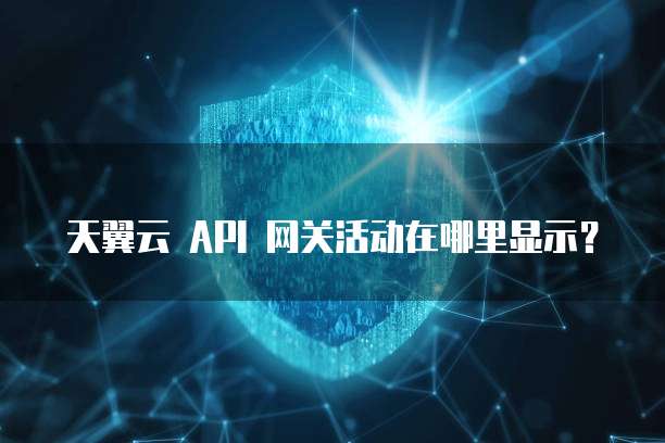 天翼云 API 网关活动在哪里显示?