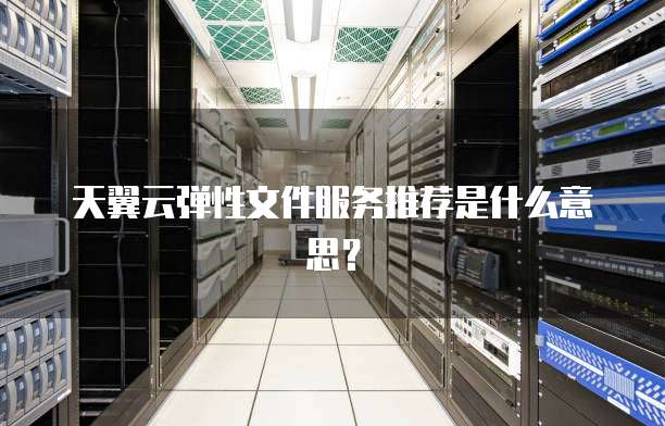 天翼云弹性文件服务推荐是什么意思？