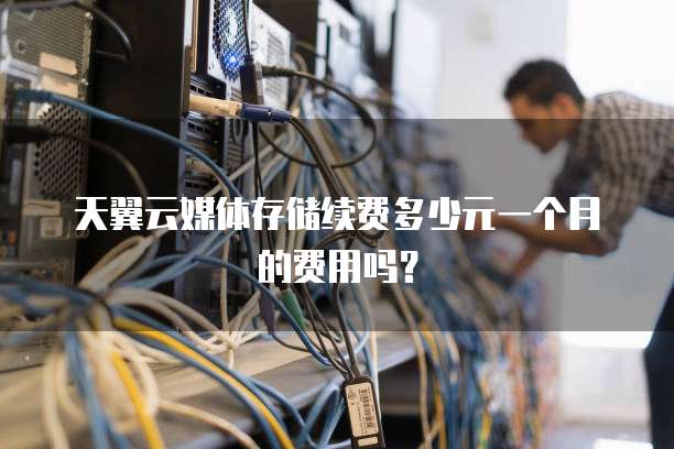 天翼云媒体存储续费多少元一个月的费用吗?
